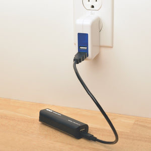 Tripp Lite Portable 1-Port USB Battery Charger Mobile Power Bank